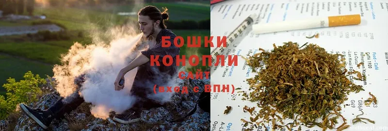 Бошки марихуана SATIVA & INDICA  Егорьевск 